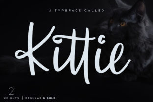 Kittie: A Handwritten Script Font with Character