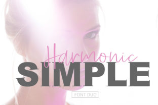 Simple Harmonic Duo: A Versatile Typography Solution