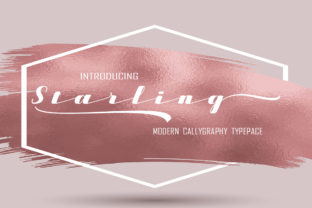 Starling: A Modern Calligraphy Font for Creative Workflows